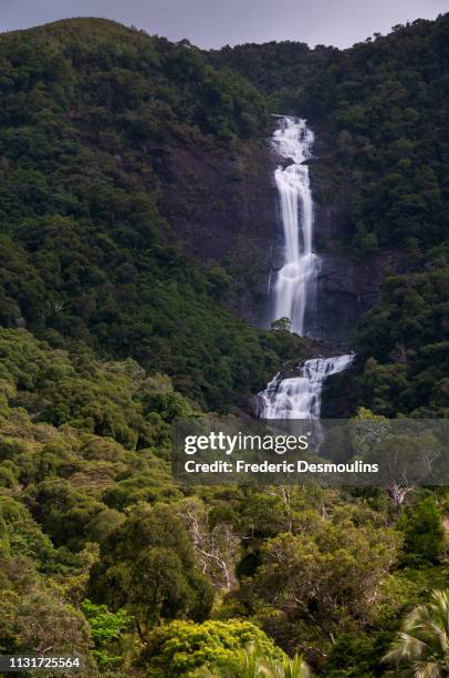 tao falls - forêt pluviale stock-fotos und bilder