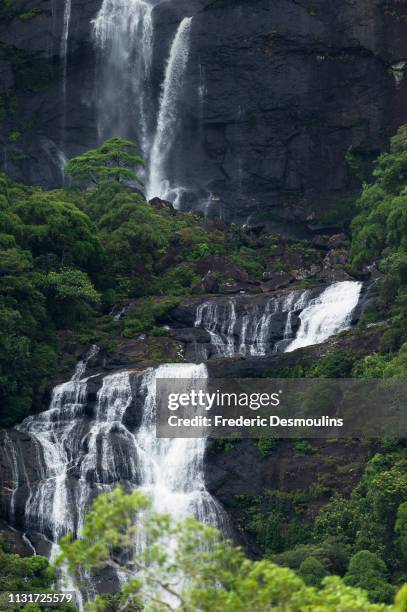 tao falls - forêt pluviale stock-fotos und bilder