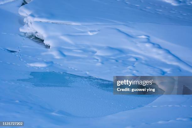 fresh snow surface - 環境 foto e immagini stock