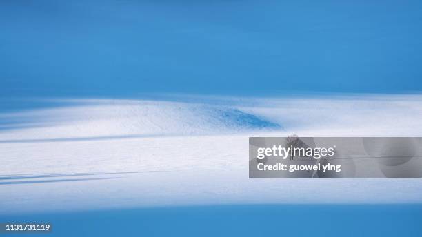 fresh snow surface - 冬天 fotografías e imágenes de stock