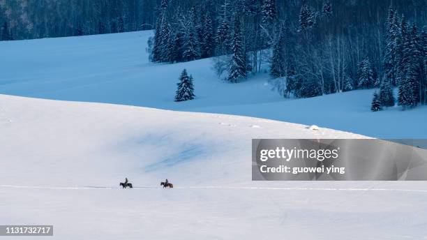 fresh snow surface - 特寫 ストックフォトと画像