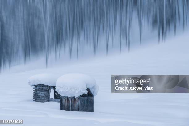 fresh snow surface - 環境 foto e immagini stock