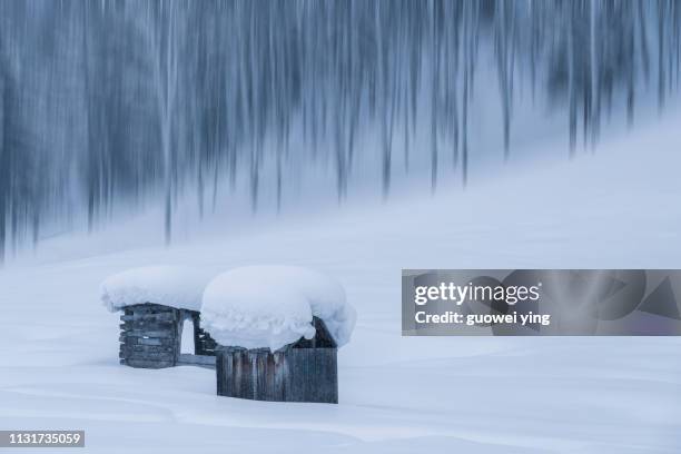 fresh snow surface - 地勢景觀 stockfoto's en -beelden