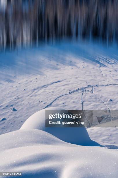 fresh snow surface - 特寫 ストックフォトと画像