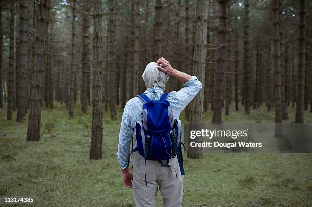 senior hiker lost in forest. - desorientiert stock-fotos und bilder