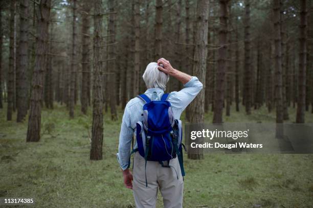 senior hiker lost in forest. - missing photos et images de collection