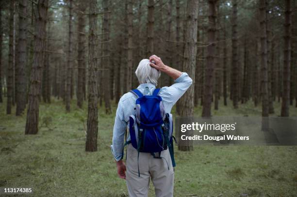 senior hiker lost in forest. - lost stock pictures, royalty-free photos & images