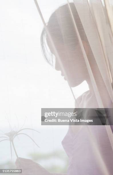 young asian woman behind curtain - vista posterior stock-fotos und bilder