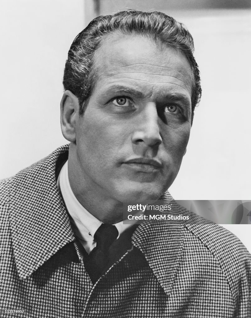 Paul Newman In The Prize