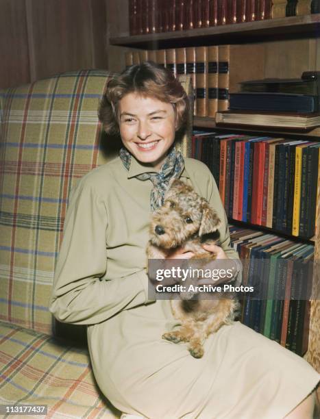 Swedish actress Ingrid Bergman with a small dog circa 1940's.