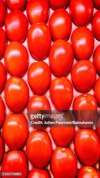 red tomatoes in a crate, paris, france - entassé bildbanksfoton och bilder