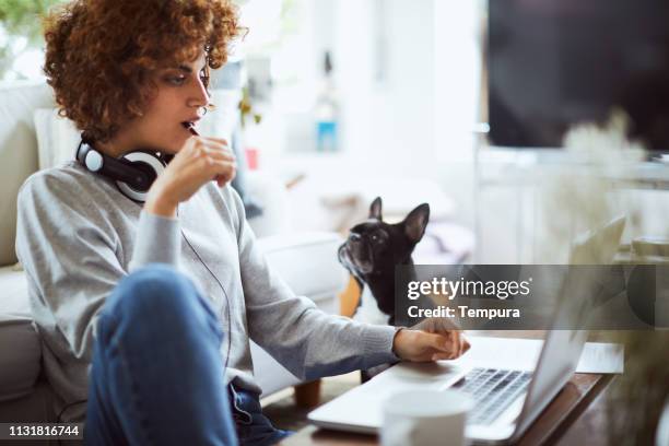 one woman working from home. - account dog stock pictures, royalty-free photos & images