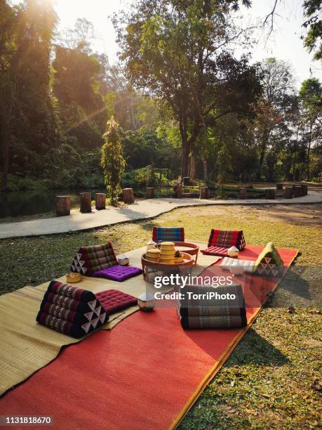 tropical breakfast in the park - picknick edel stock-fotos und bilder