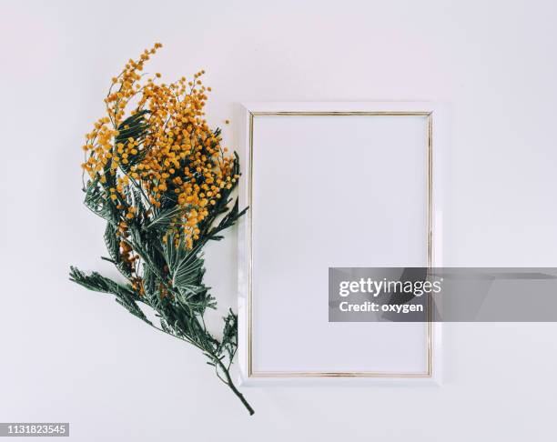 empty white wooden frame and yellow mimosa flowers on white top view background with copy space. flatlay mockup - table font view stock pictures, royalty-free photos & images