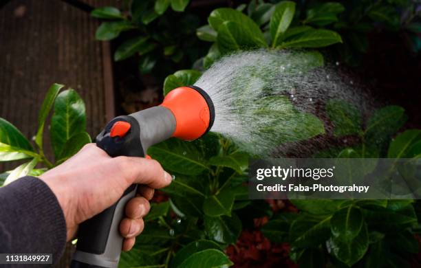 hand holding a garden hose spraying water - gartenschlauch stockfoto's en -beelden