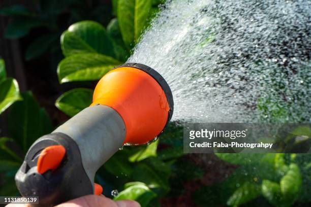 hand holding a garden hose spraying water - teilabschnitt 個照片及圖片檔