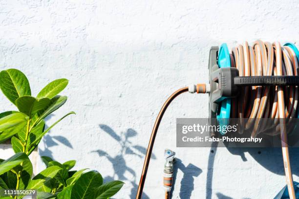 water hose - gartenschlauch stock pictures, royalty-free photos & images