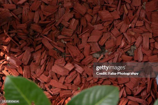 wooden mulch - gärtnerisch gestaltet stock pictures, royalty-free photos & images