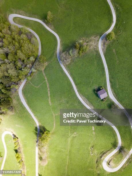 curvy mountain road among green meadows in binntal regional park, valais, switzerland, 2018 - pré vu du ciel photos et images de collection