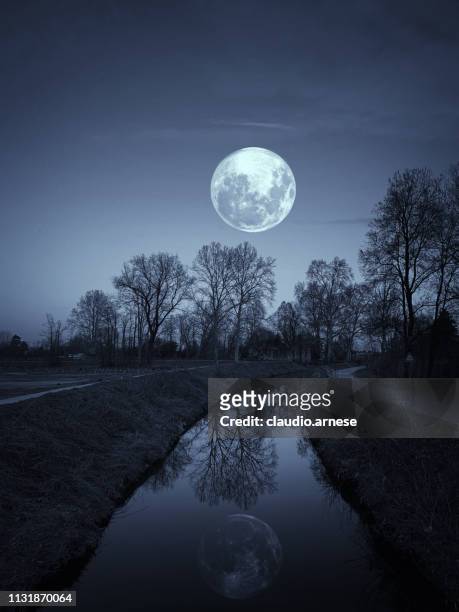 nuit dans un parc avec la pleine lune - pleine lune photos et images de collection