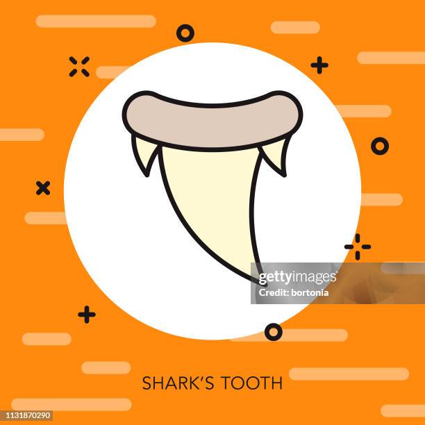 shark tooth australia icon - shark teeth stock illustrations