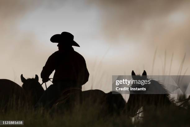 passeggiate a cavallo al crepuscolo, in un campo dello utah. - cowboy sillouette foto e immagini stock