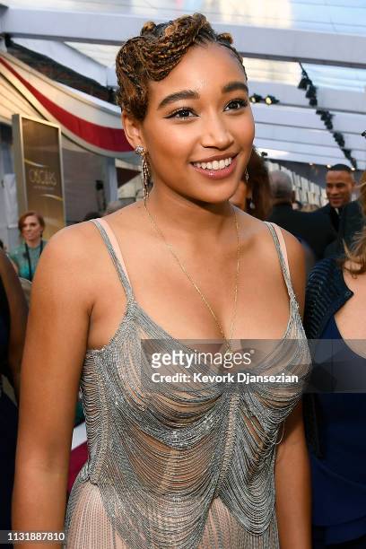 Amandla Stenberg attends the 91st Annual Academy Awards at Hollywood and Highland on February 24, 2019 in Hollywood, California.