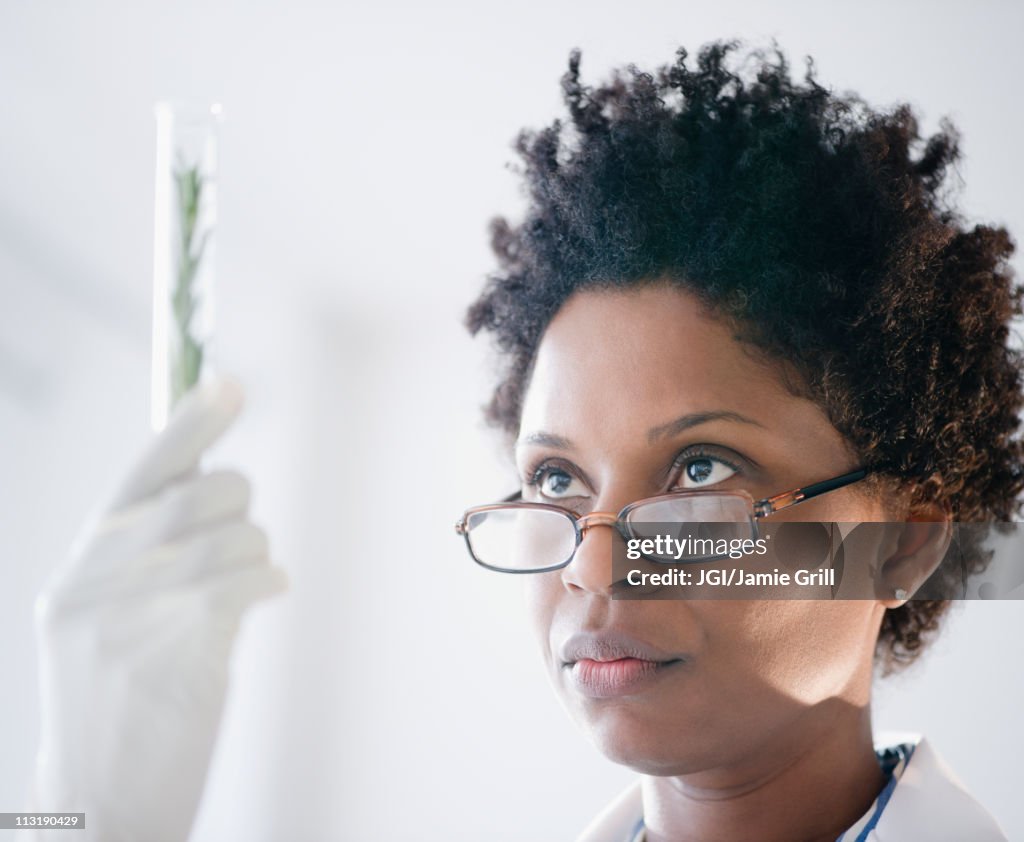 Black scientist looking at herb in test tube