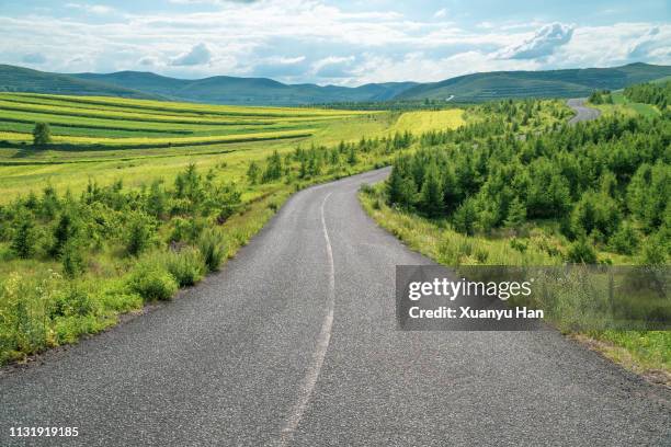 summer road extends into the distance - distant horizon stock pictures, royalty-free photos & images