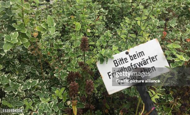 August 2017, North Rhine-Westphalia, Löhne: A sign with the inscription "Bitte beim Friedhofswärter vorsprechen" can be seen on a grave of a...