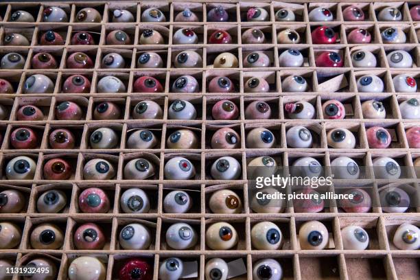 February 2019, Mecklenburg-Western Pomerania, Rostock: A part of the 132 pathologies of the historical glass eye archive of the Eye Clinic of the...