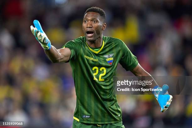 Ecuador goalkeeper Alexander Dominguez argues a call in game action during an International friendly match between the United States and Ecuador on...