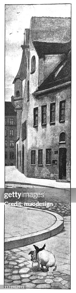 Sad, lost dog in a big city - 1896