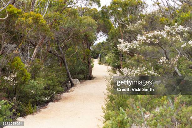 Clean Or Rough Path 7,790 Rough Path Stock Photos, High-Res Pictures, and Images - Getty Images