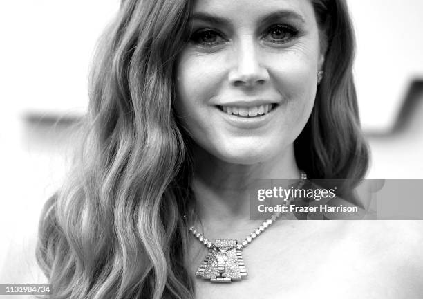 Amy Adams attends the 91st Annual Academy Awards at Hollywood and Highland on February 24, 2019 in Hollywood, California.