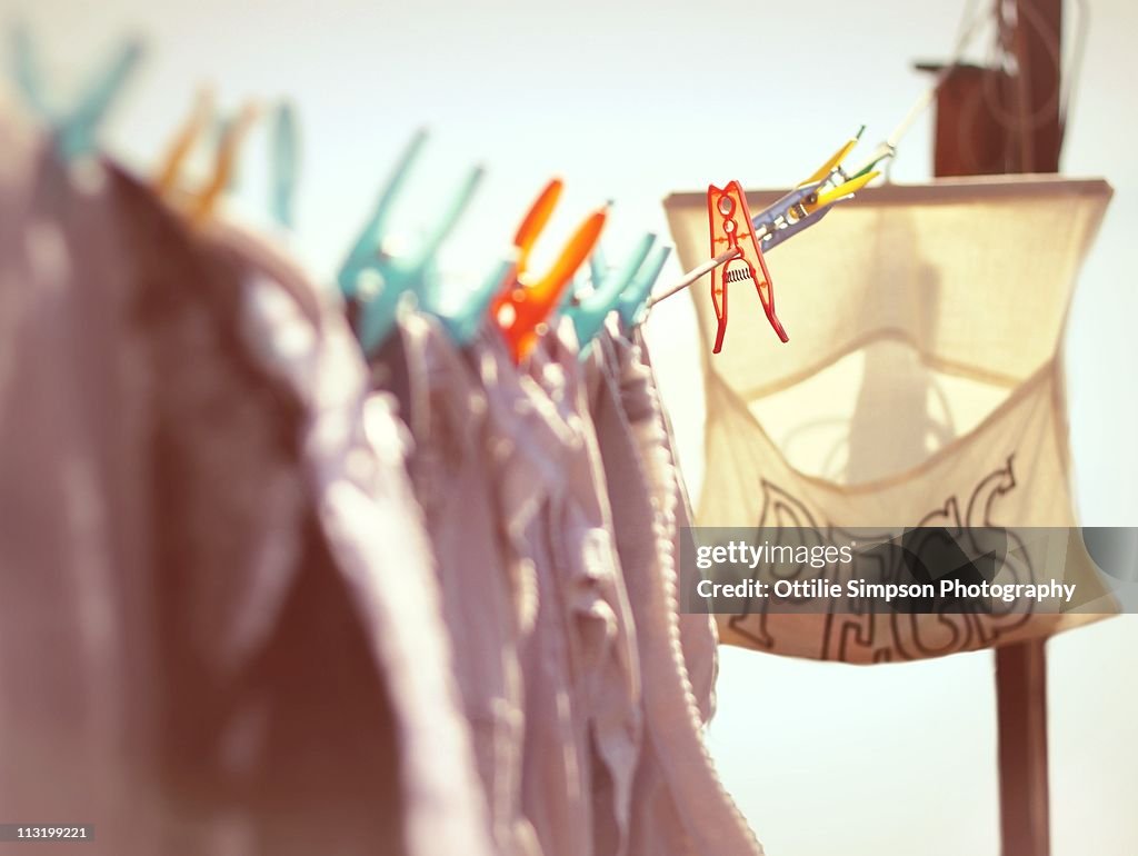 Washing Line Pegs