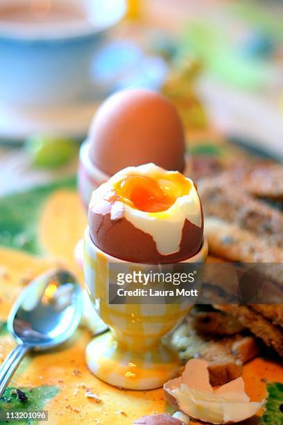 boiled eggs - worcester england stock pictures, royalty-free photos & images