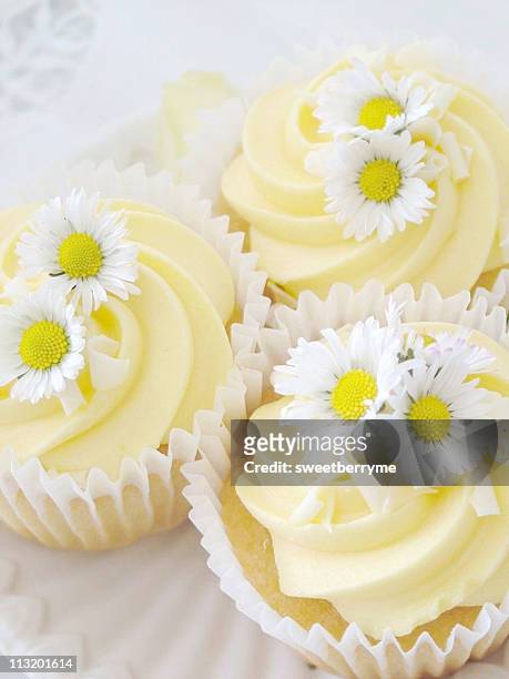 lemon daisy cupcake - lemon slice stock pictures, royalty-free photos & images