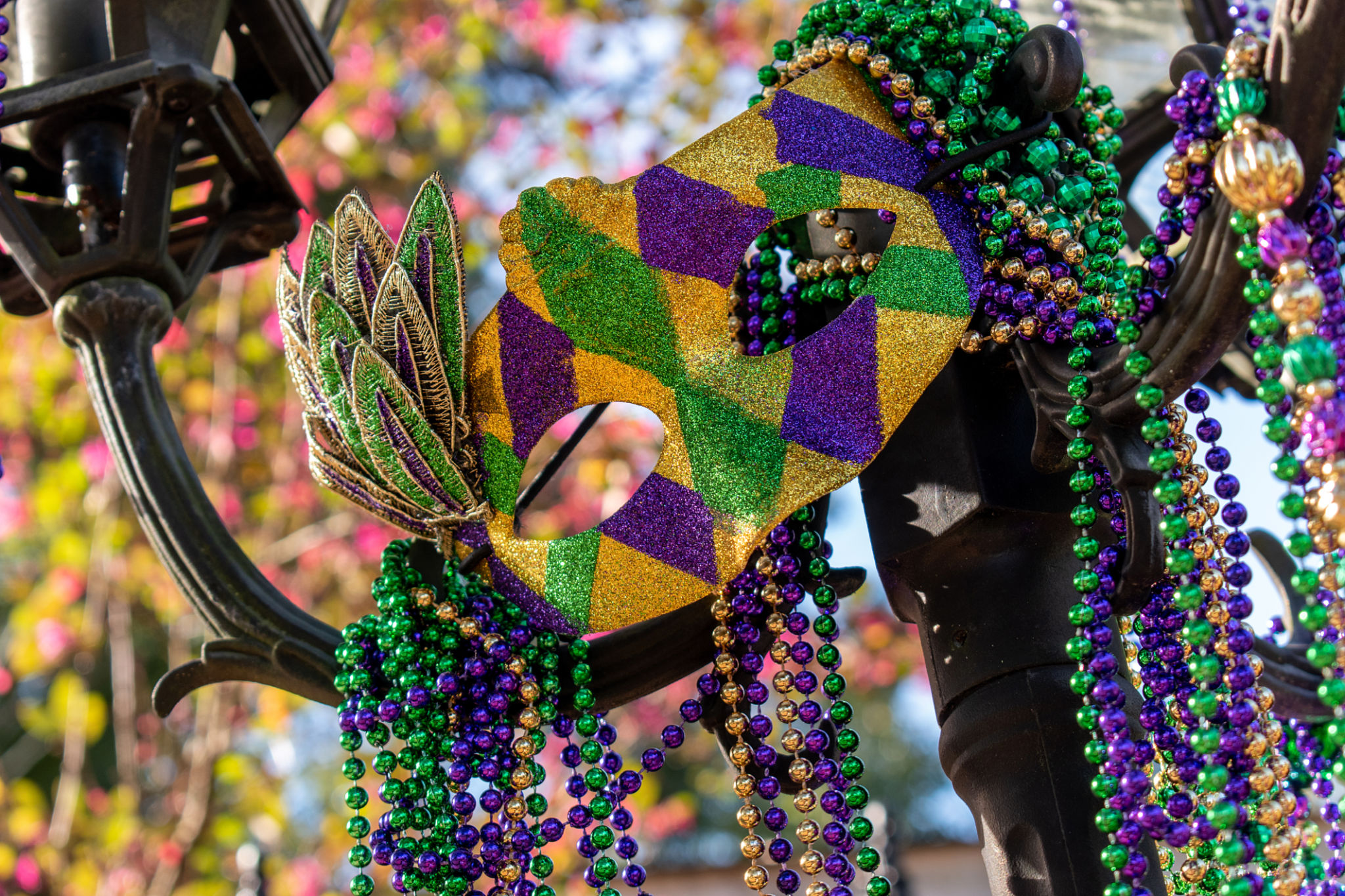 new orleans celebration