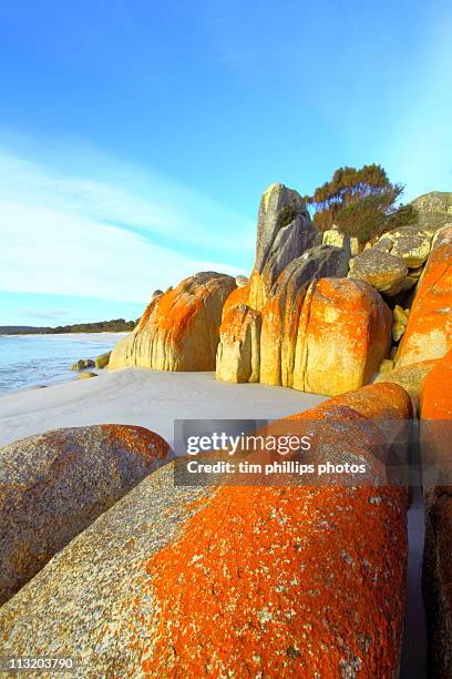 bay of fires tasmania - bay of fires - fotografias e filmes do acervo