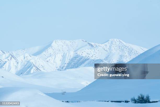 fresh snow surface - 地勢景觀 stockfoto's en -beelden