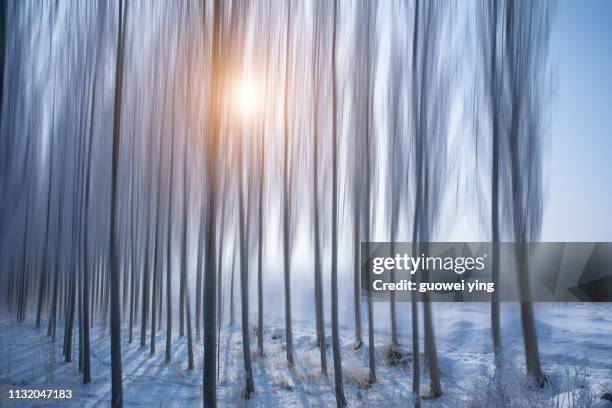 fresh snow surface - 地勢景觀 stockfoto's en -beelden