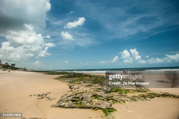 beach - plano de fundo 個照片及圖片檔