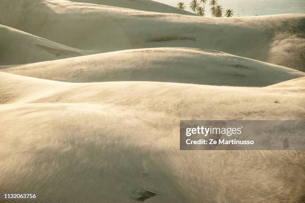 dunes - ensolarado stock pictures, royalty-free photos & images