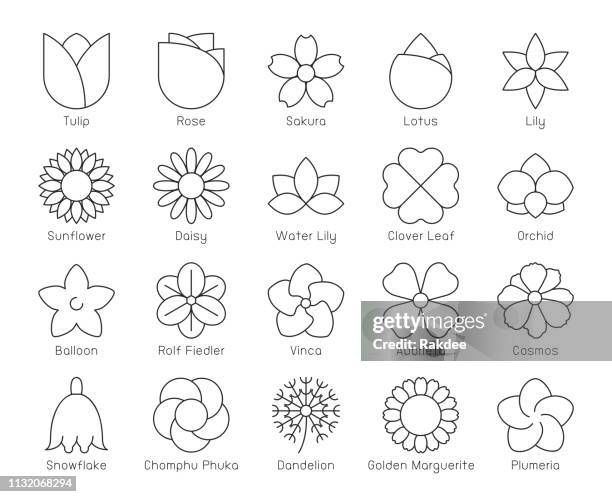 blume-dünn-line icons - blütenblatt stock-grafiken, -clipart, -cartoons und -symbole