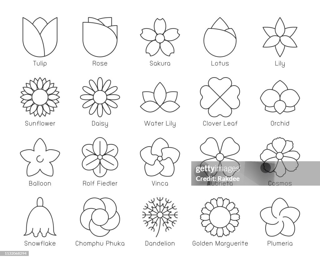 Flower - Thin Line Icons