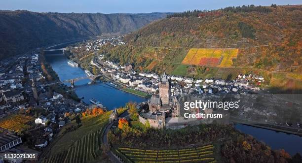 aerial of cochem castle and vineyards in mosel wine valley at autumn, rhineland-palatinate, germany. - cochem moselle stock pictures, royalty-free photos & images