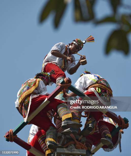 Totonac natives perform the "Voladores" ritual during a tranning session, at Papantla Indigenous Arts Centre, ahead of the Tajin Summit Festival...