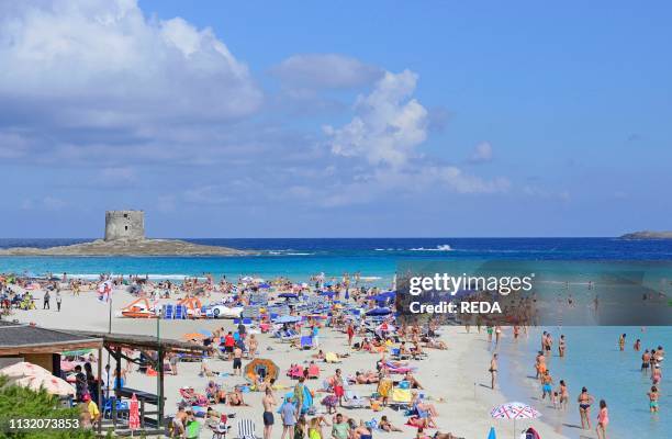 La Pelosa beach. Stintino. Sassari. Sardinia. Italy. Europe.