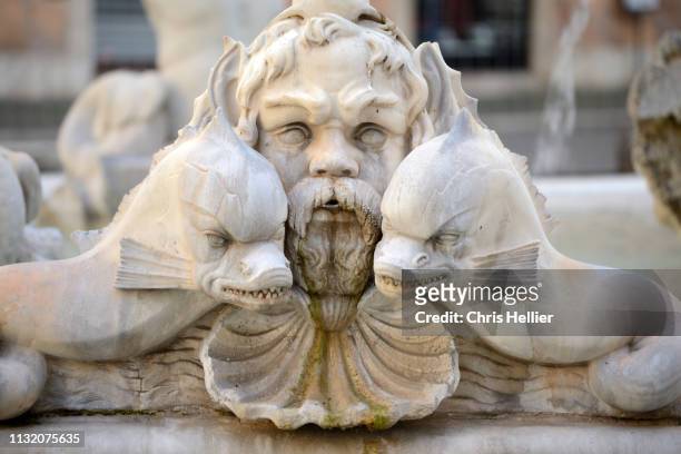 moor & dolphins baroque sculpture, moor's fountain, piazza navona square rome italy - animal sculpture stock pictures, royalty-free photos & images